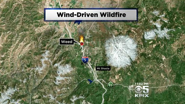 Weed Wildfire Map 