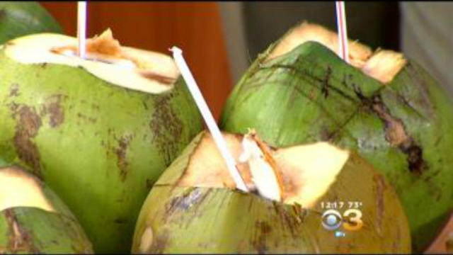 coconut.jpg 