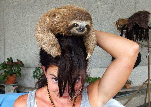 Ann Bender wears a sloth as a hat in this photo from 2006. 