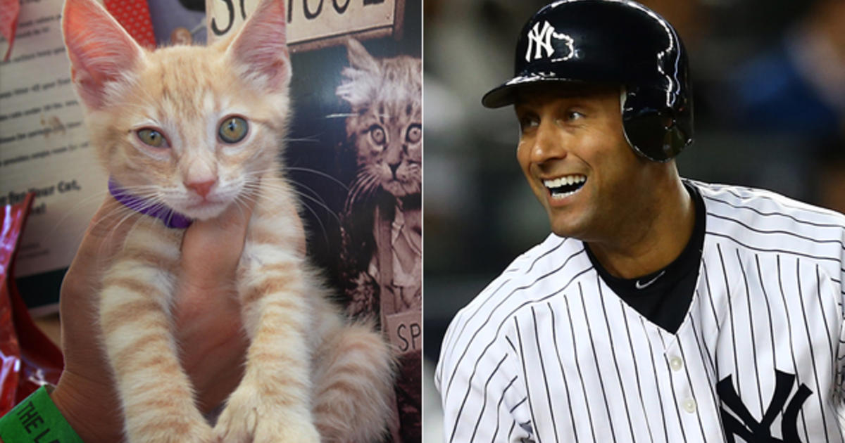 Derek Jeter, dog - Dog and Cat Photo Contest