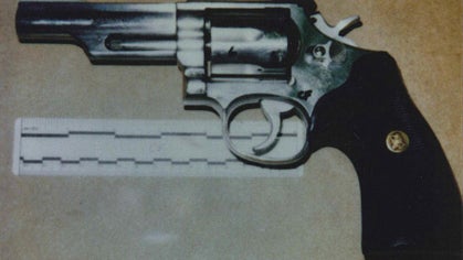 One gun, two crimes? The trials of Linda Cooney