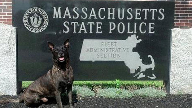state-police-dog-Neko-assists-in-Concord-arrest-(1) 