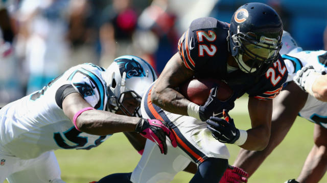 bears-panthers-forte-dl-forte.jpg 