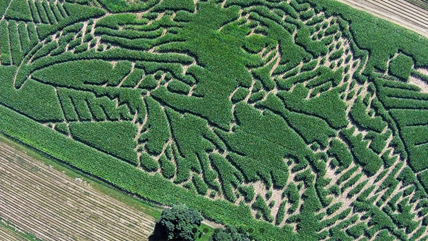 mike's maze 