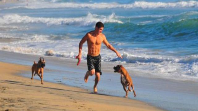 dog-friendly-getaway-huntington-beach-photo-visit-huntington-beach.jpg 