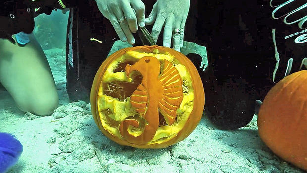 underwater-pumpkin-carving-41.jpg 