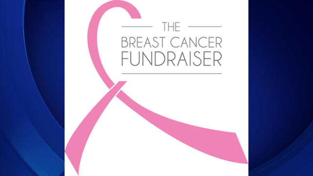 the-breast-cancer-fundraiser.jpg 