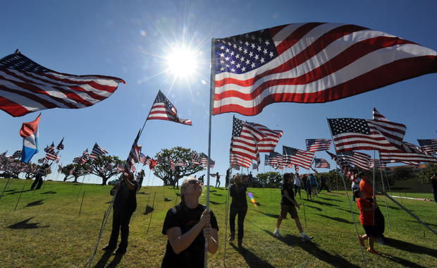 veteran's day american flags 