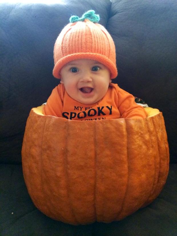 my-little-pumpkin-from-amanda-marie.jpg 