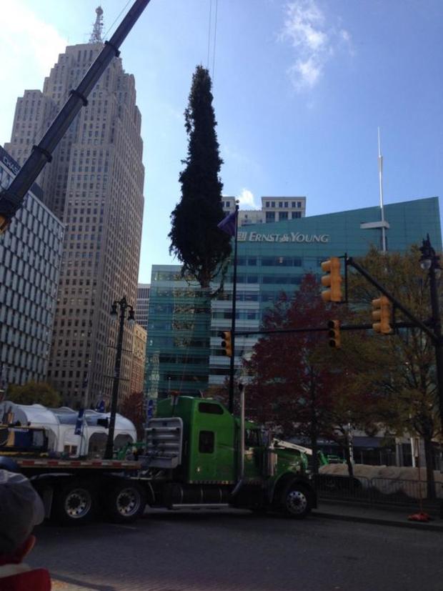 detroit tree delivery 