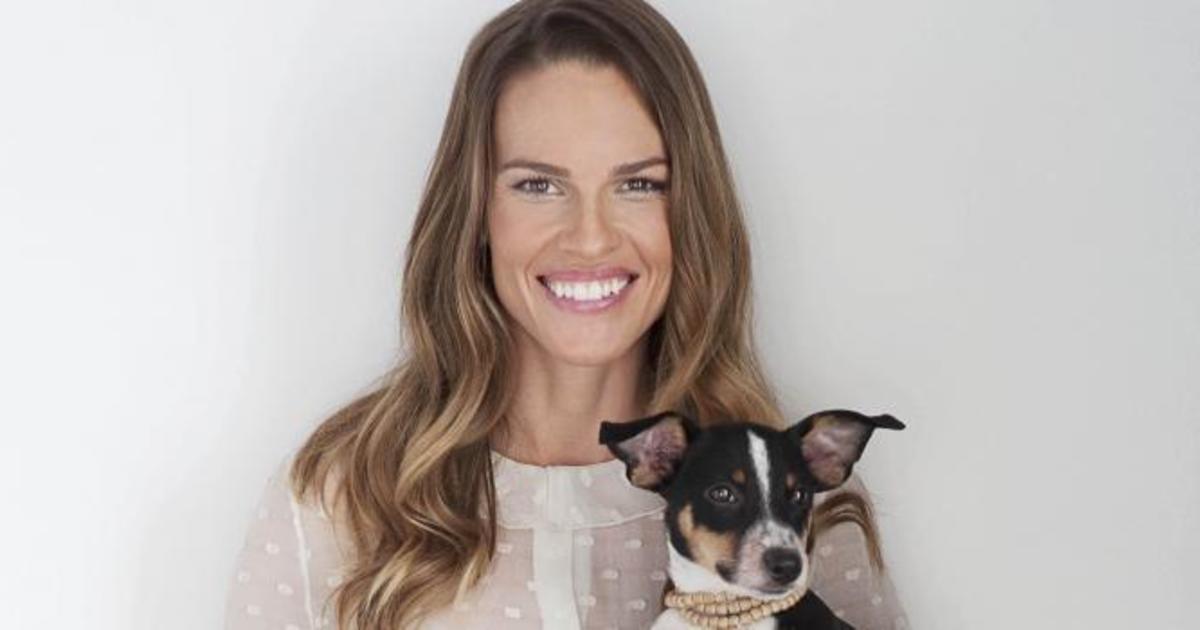 Hilary Swank Jane Lynch To Host Cause For Paws Cbs News