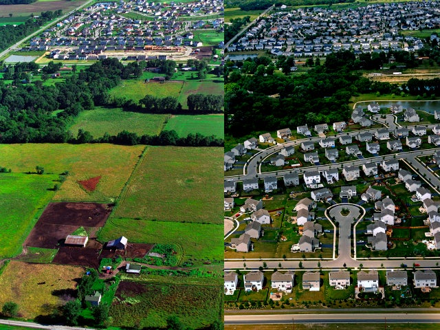 common-ground-aerial-diptych-promo.jpg