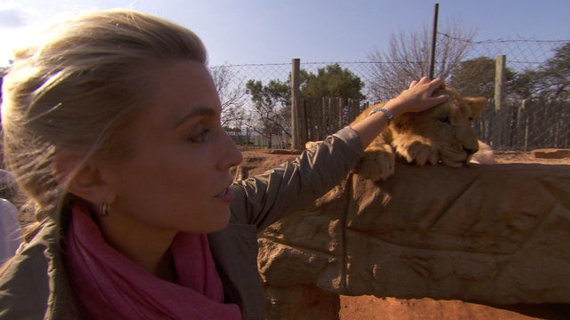 Clarissa Ward and lion cub