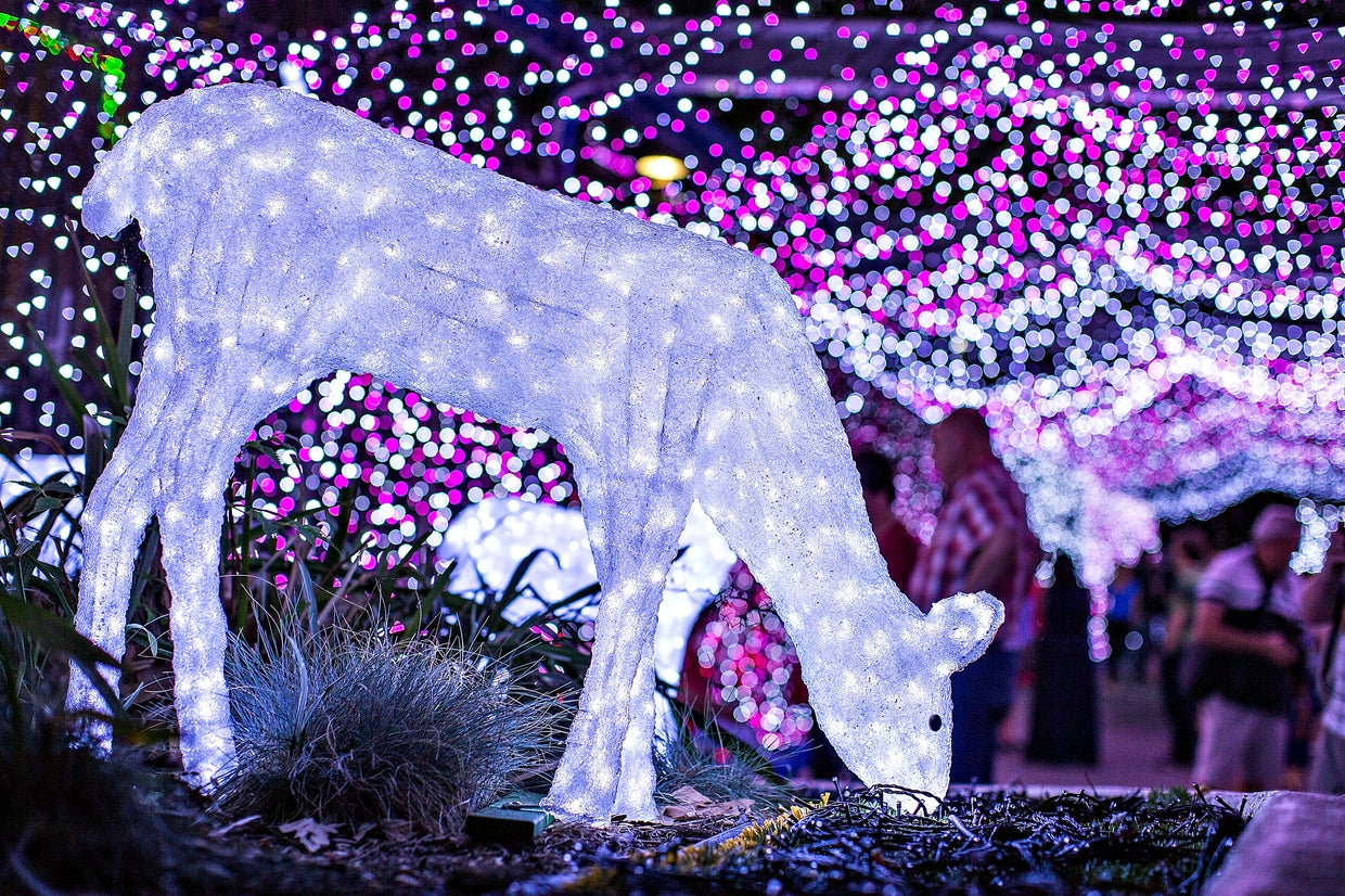 Recordbreaking Christmas light display