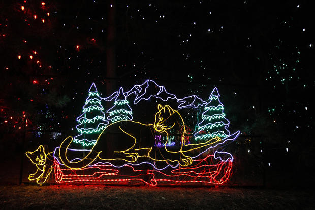 Denver Zoo's annual lights festival features more than two million lights and 150 sculptures. 