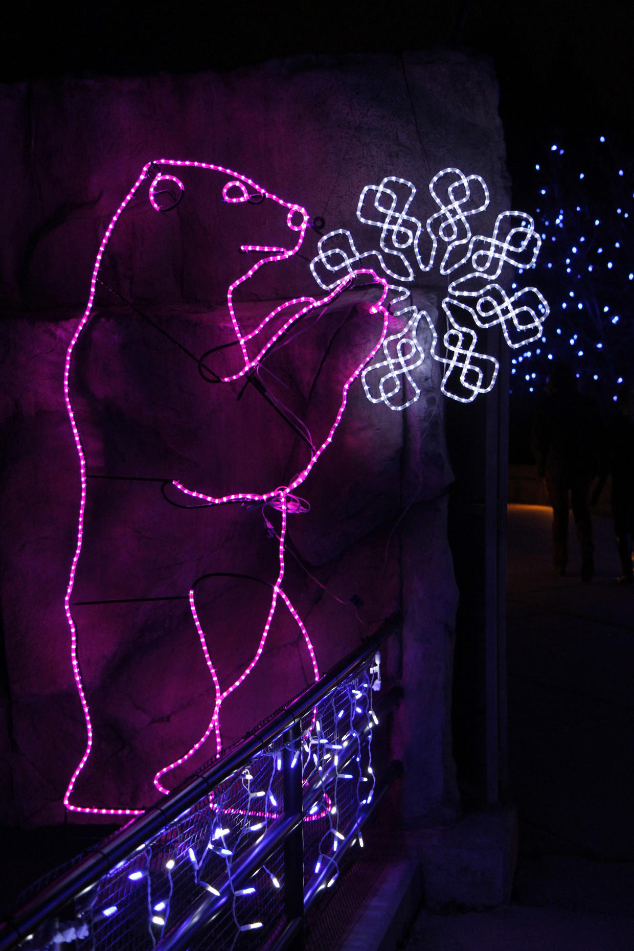 Tickets To Denver Zoo Lights On Sale Now CBS Colorado