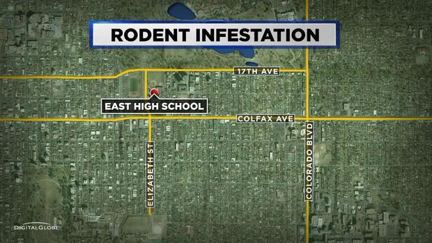 EAST HIGH RATS INFESTATION map 