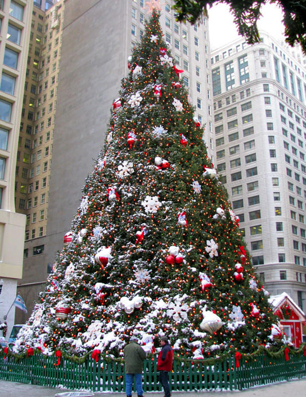 Old Chicago Christmas Tree 
