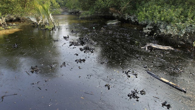 Oil from a sunken tanker is seen on the Shela River in the Sundarbans mangrove forest in Bangladesh, Dec. 9, 2014. 
