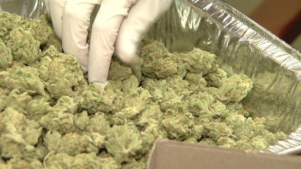 Marijuana Legal Medical Pot Generic 