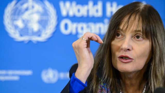 World Health Organization Assistant Director General Marie-Paule Kieny of France gives a press conference after a review on possible vaccines against the deadly Ebola virus. 