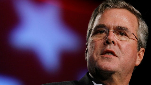 bush.jpg 