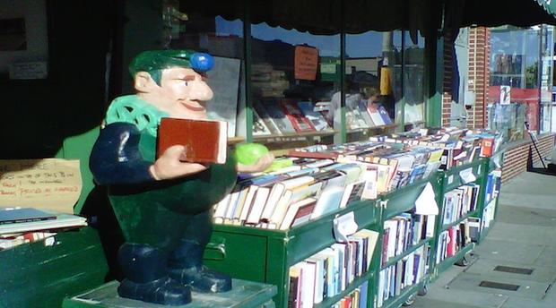 Green Apple Books, San Francisco (Credit, Laurie Jo Miller Farr) 
