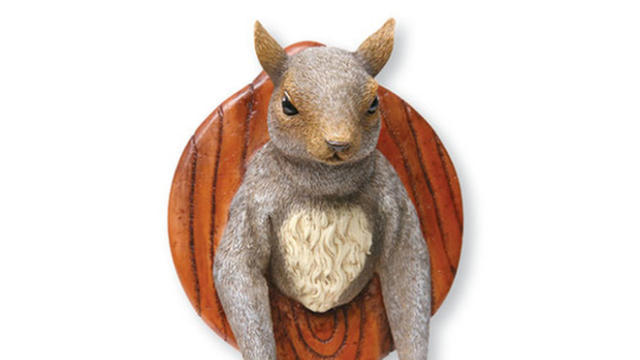 skymall-mounted-squirrel-head.jpg 