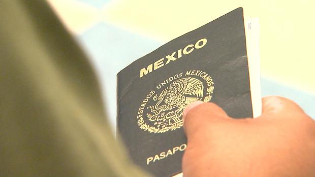 IMMIGRANT driver's LICENSES mexico passport 