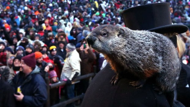 punxsutawney-phil.jpg 