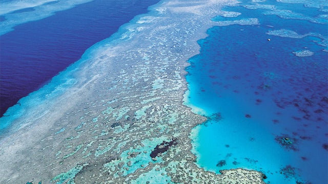 great-barrier-reef-ap.jpg 