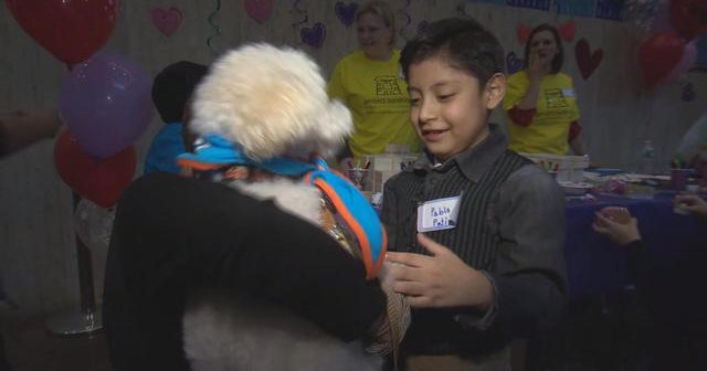 Heart transplant patient on the mend with dog's help CBS News