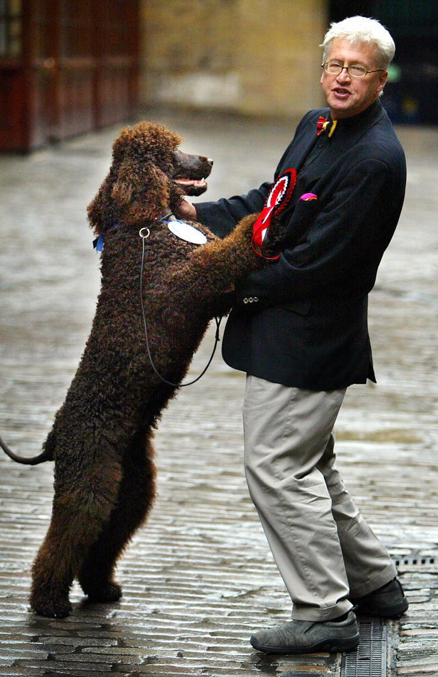 are english water spaniels extinct