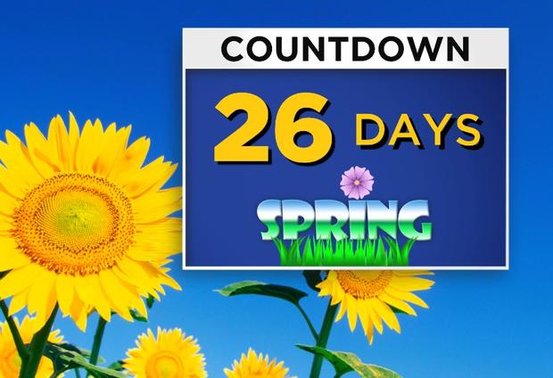 Spring Countdown 