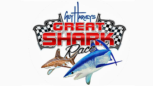 Guy Harvey's Great Shark Race 