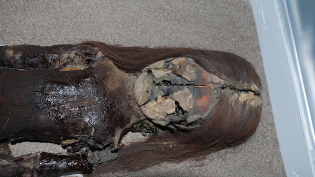 chinchorro-mummy-chile.jpg 