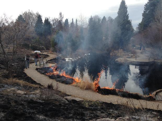 Controlled Burn At Denver Botanic Gardens 
