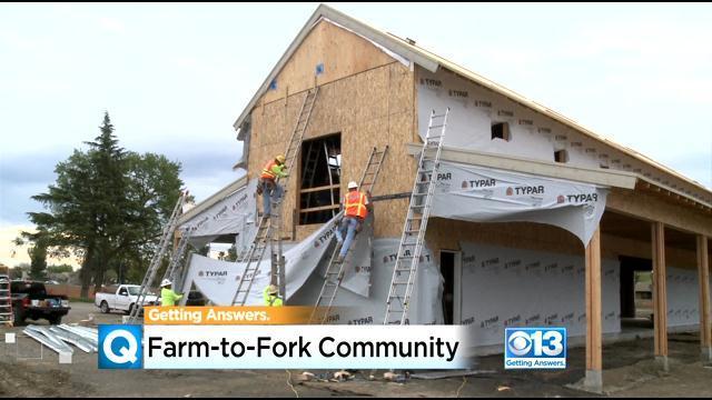 farm-to-fork-community.jpg 