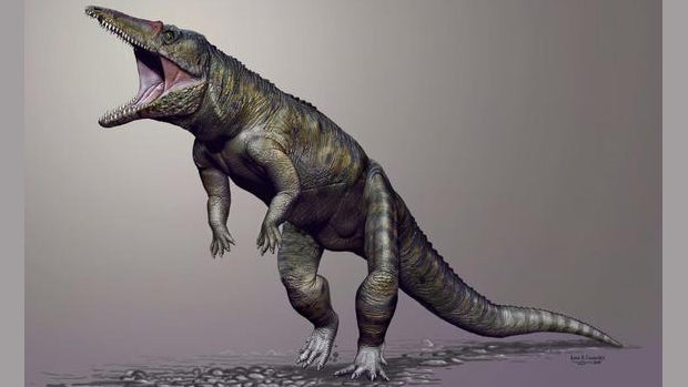crocodile-carnufex.jpg 