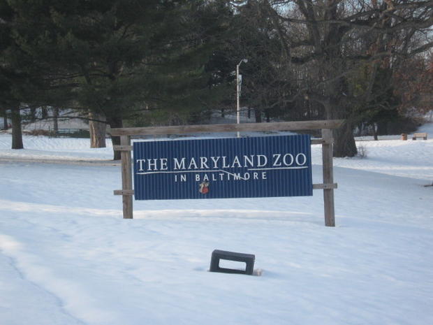 the_maryland_zoo_in_baltimore.jpg 