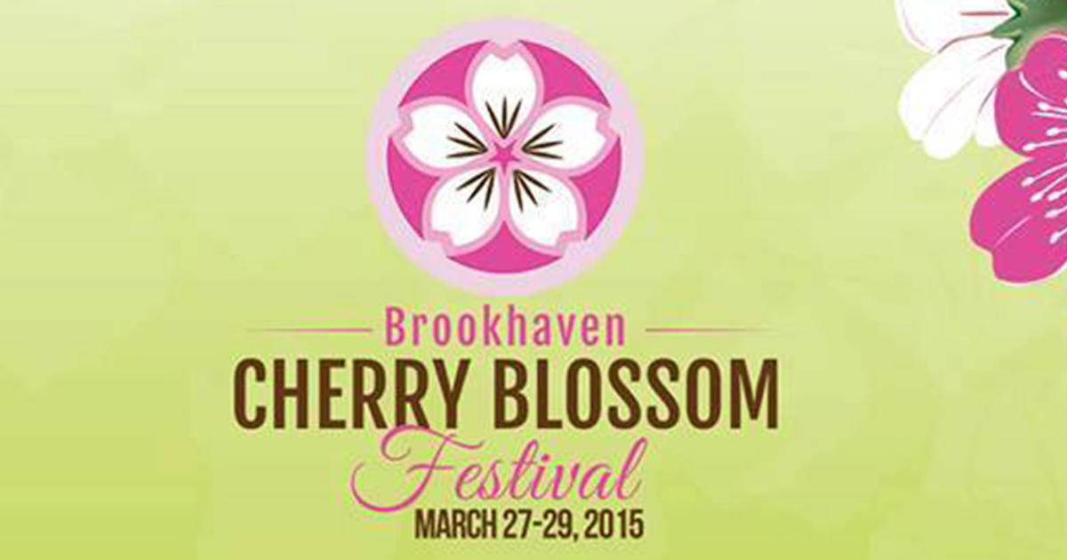 Brookhaven Cherry Blossom Festival CW Atlanta