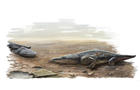 metoposaurusartlowres.jpg 