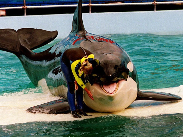 950309-lolita-whale-ap9503091531.jpg 