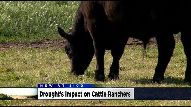 cattle-ranchers.jpg 