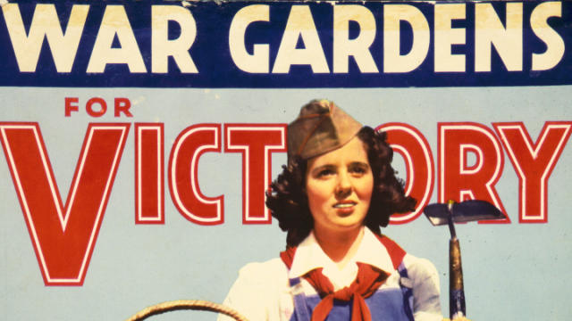 victory-gardens-promo-poster.jpg 