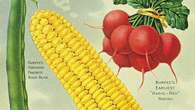 burpee-seed-catalog-promo.jpg 