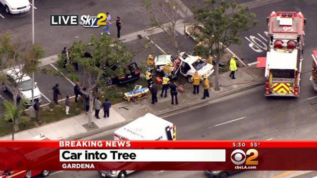 car-into-tree.jpg 