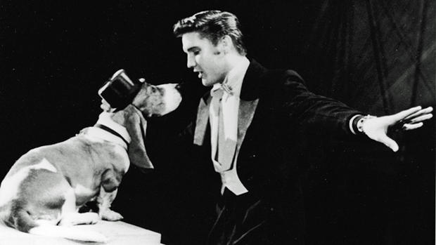 Elvis Presley Sings 'Hound Dog' 