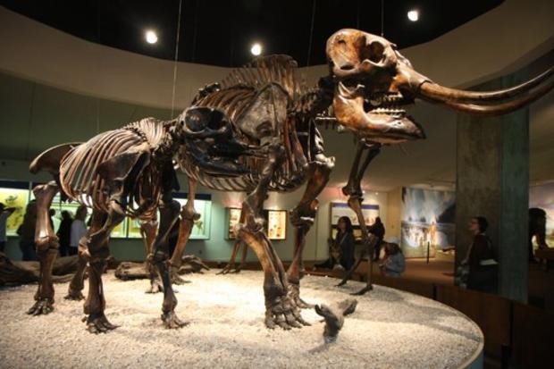 Page Museum at the La Brea Tar Pits 