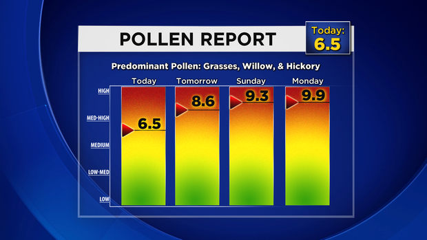 Pollen Report: 05.02.15 